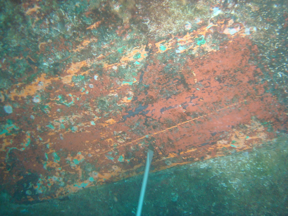 imagen servicios/fotos/